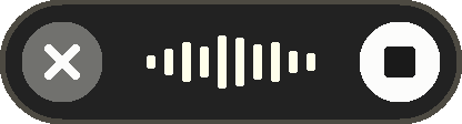 Mouthtype Classic recording pill